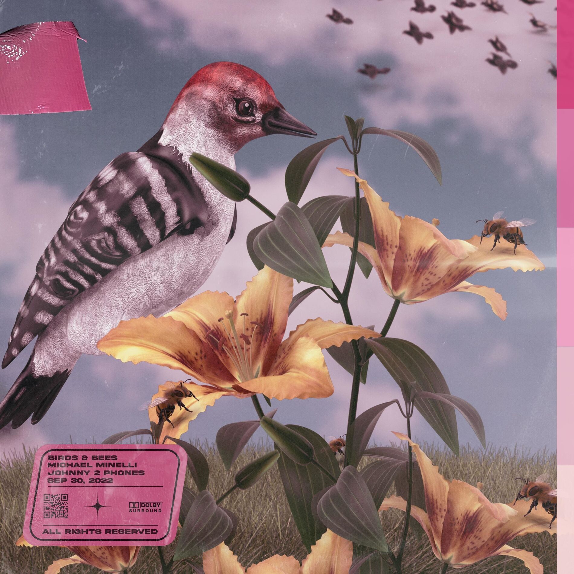 Album cover of Birds & Bees