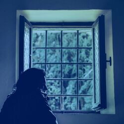 Cover of Anima Flow