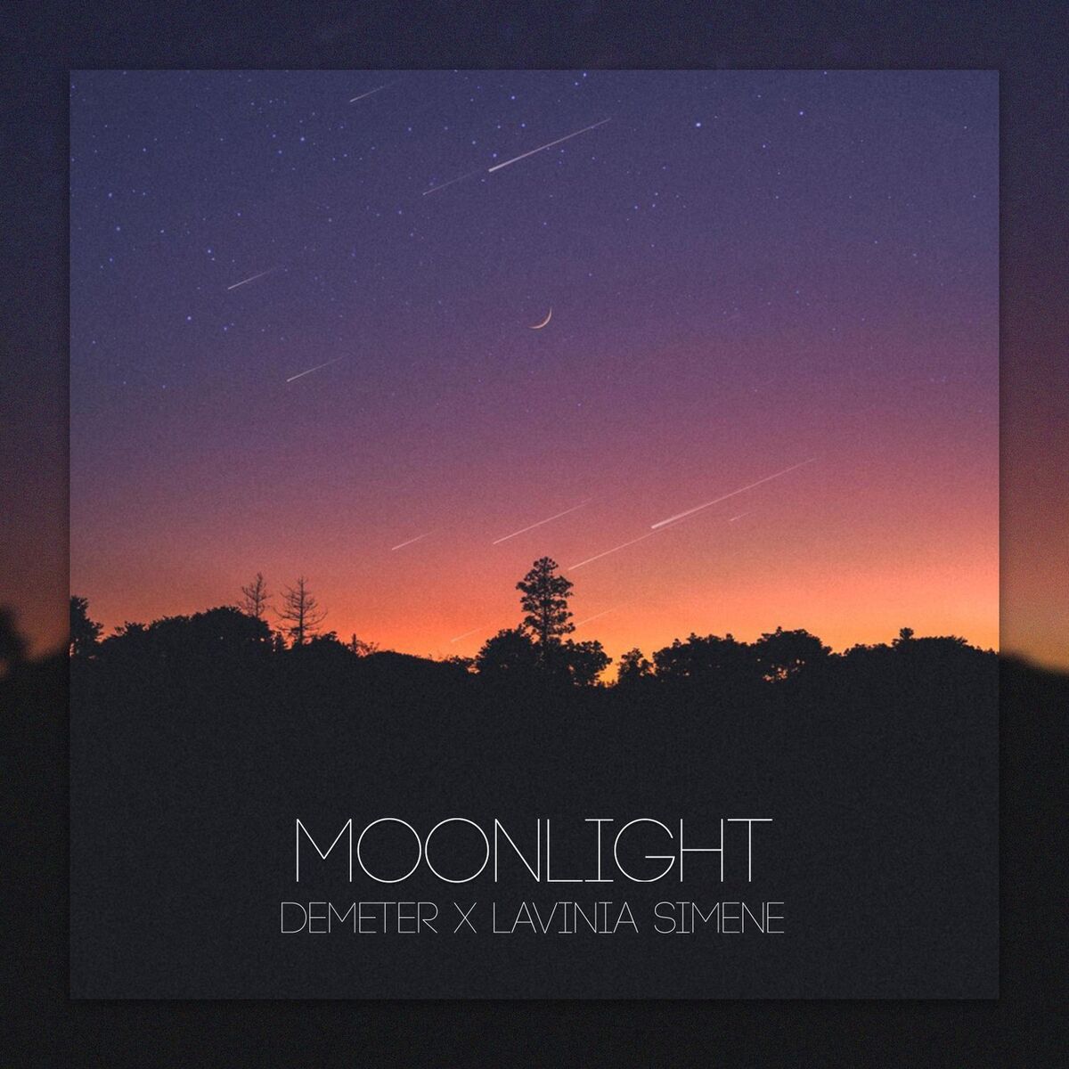 Album cover of Moonlight