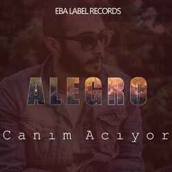 Cover of Canım Acıyor