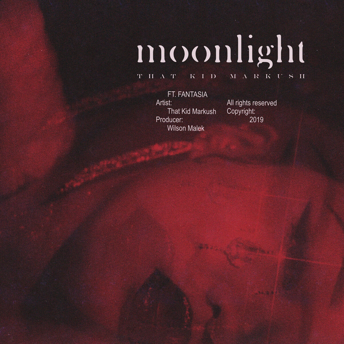 Album cover of Moonlight