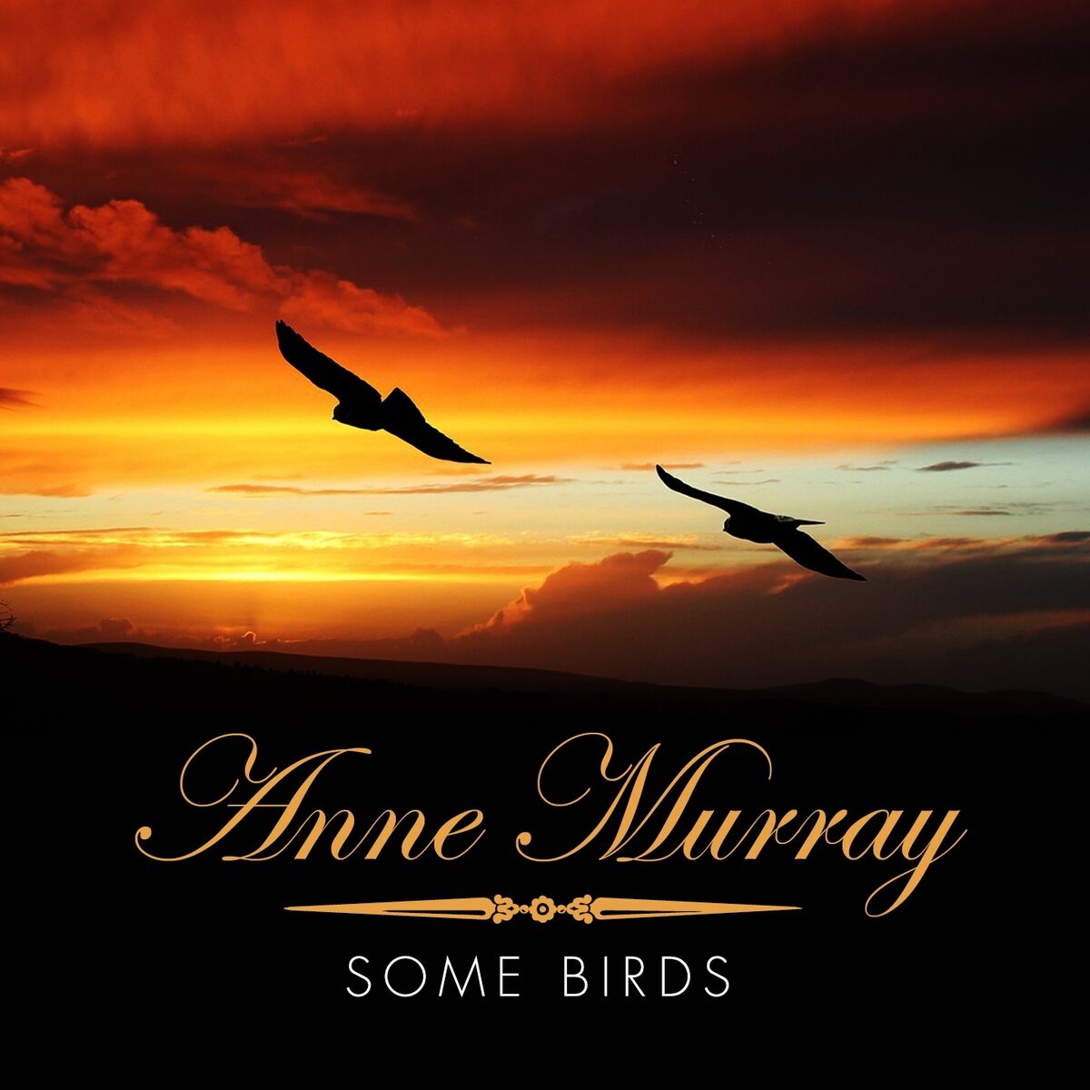 Album cover of Some Birds