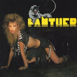 Cover of Panther