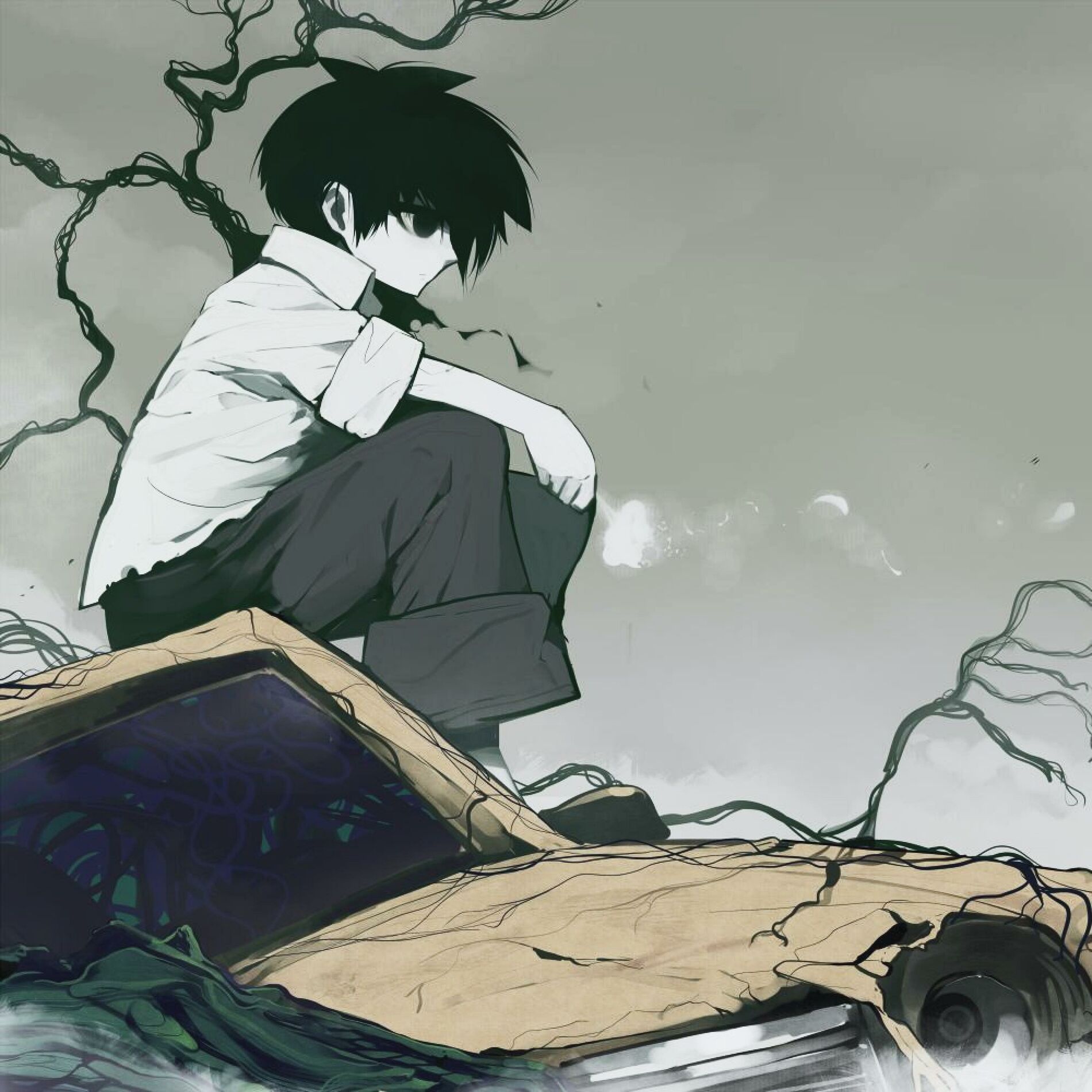 Album cover of Destroyed Emotions 2
