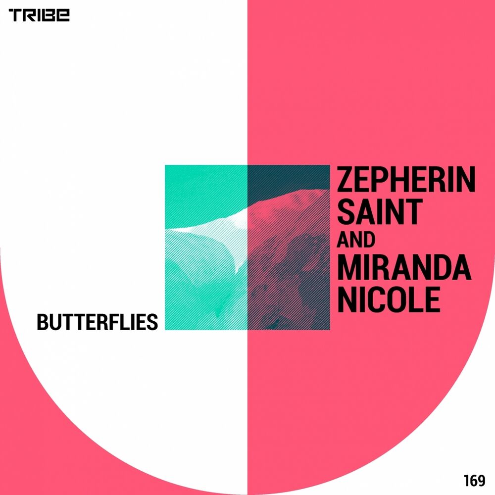 Picture of Butterflies