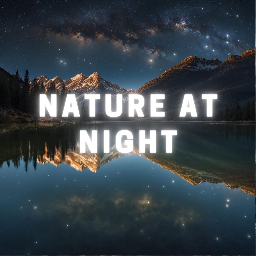 Picture of Nature at Night