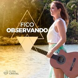 Cover of Fico Observando