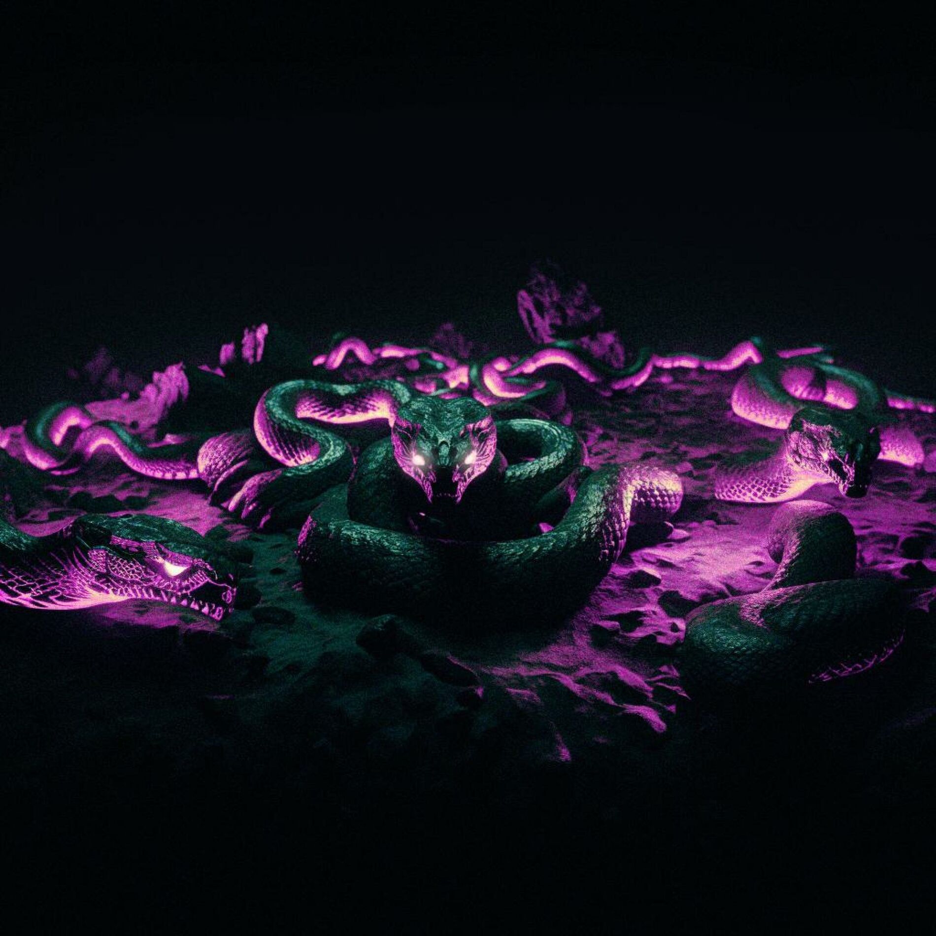 Album cover of SNAKE