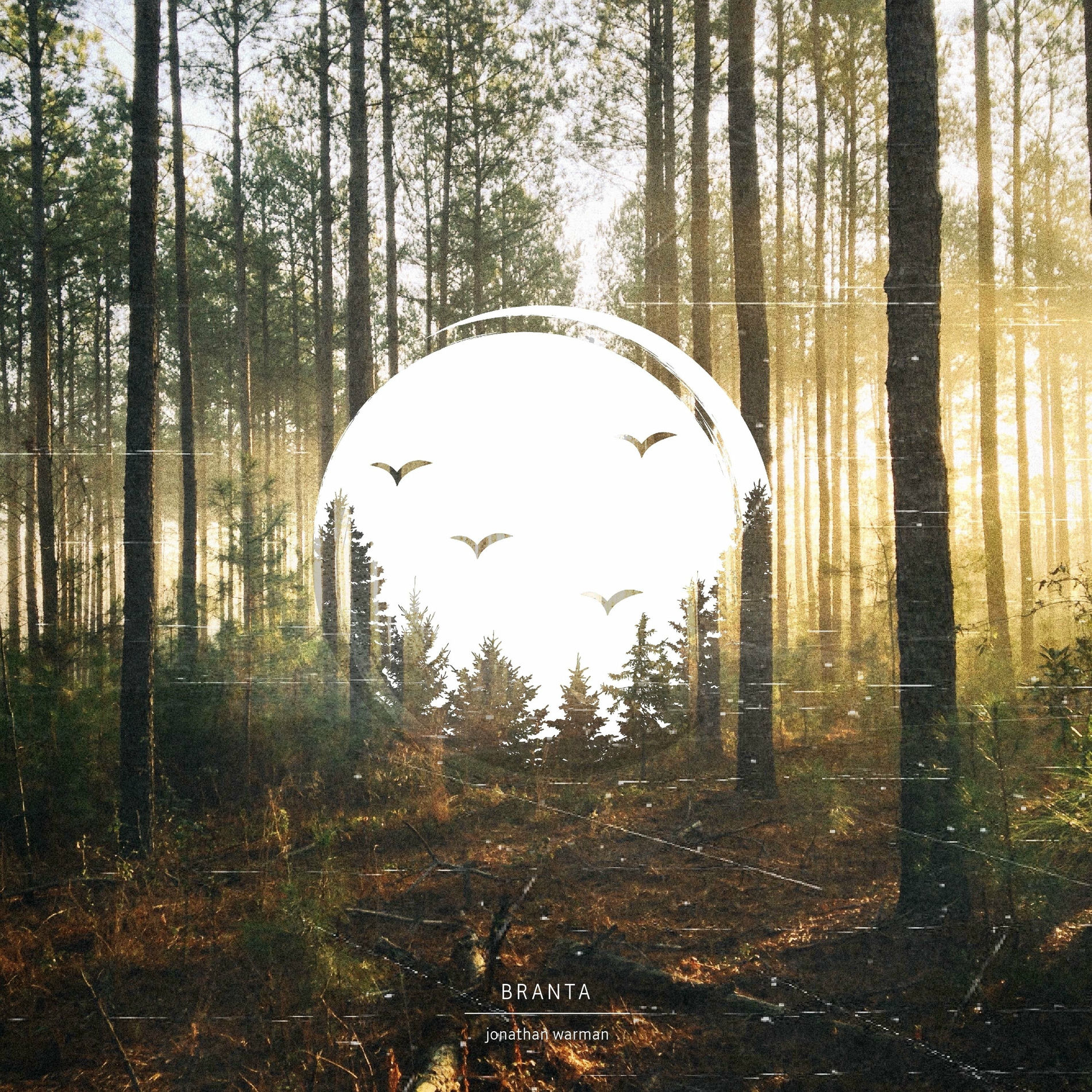 Album cover of Branta