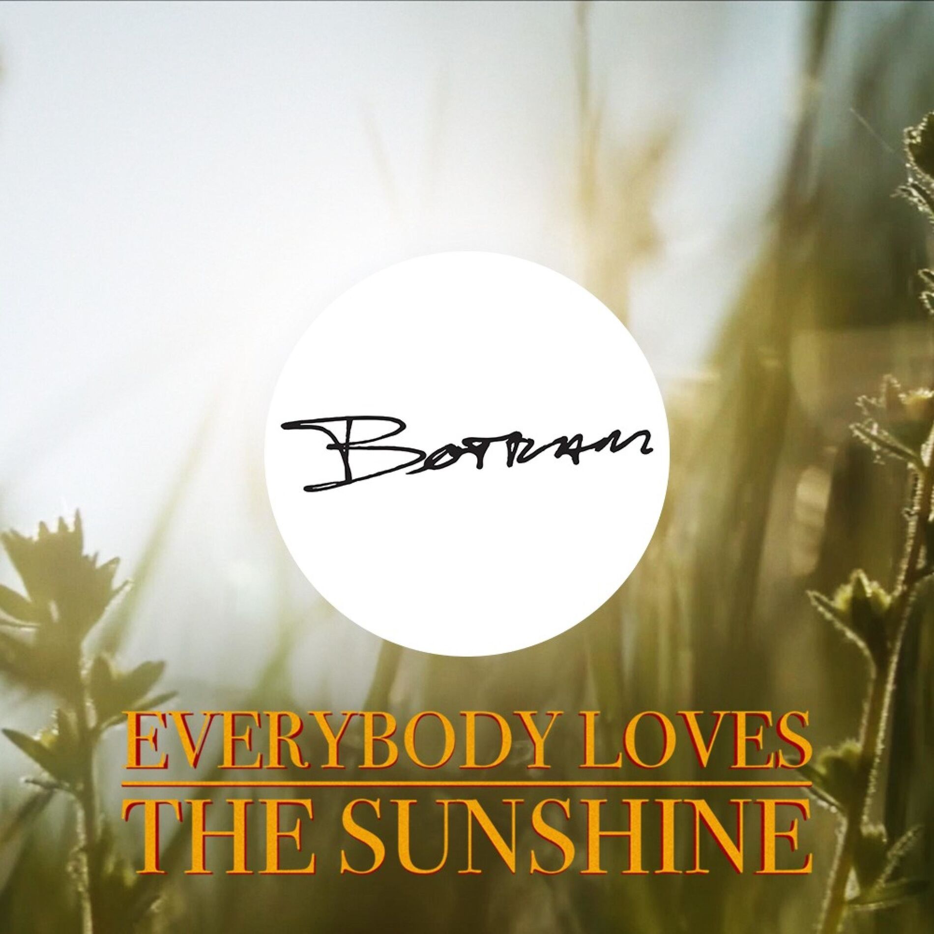 Album cover of Everybody Loves The Sunshine