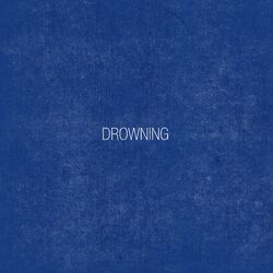 Cover of Drowning