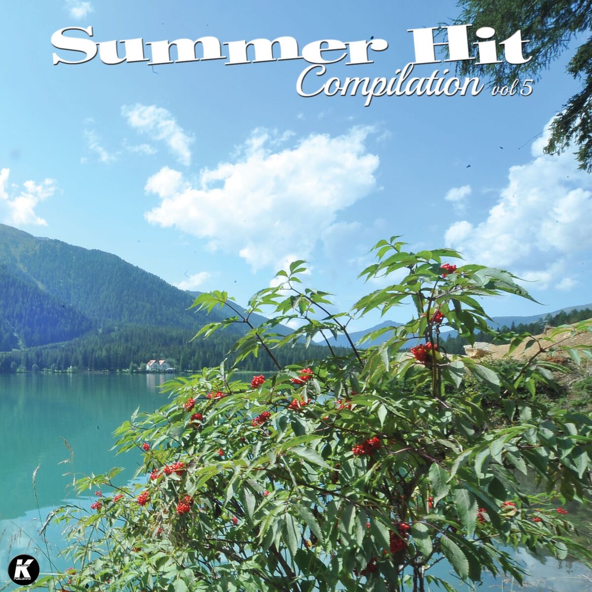 Album cover of Summer Hit Compilation, Vol. 5