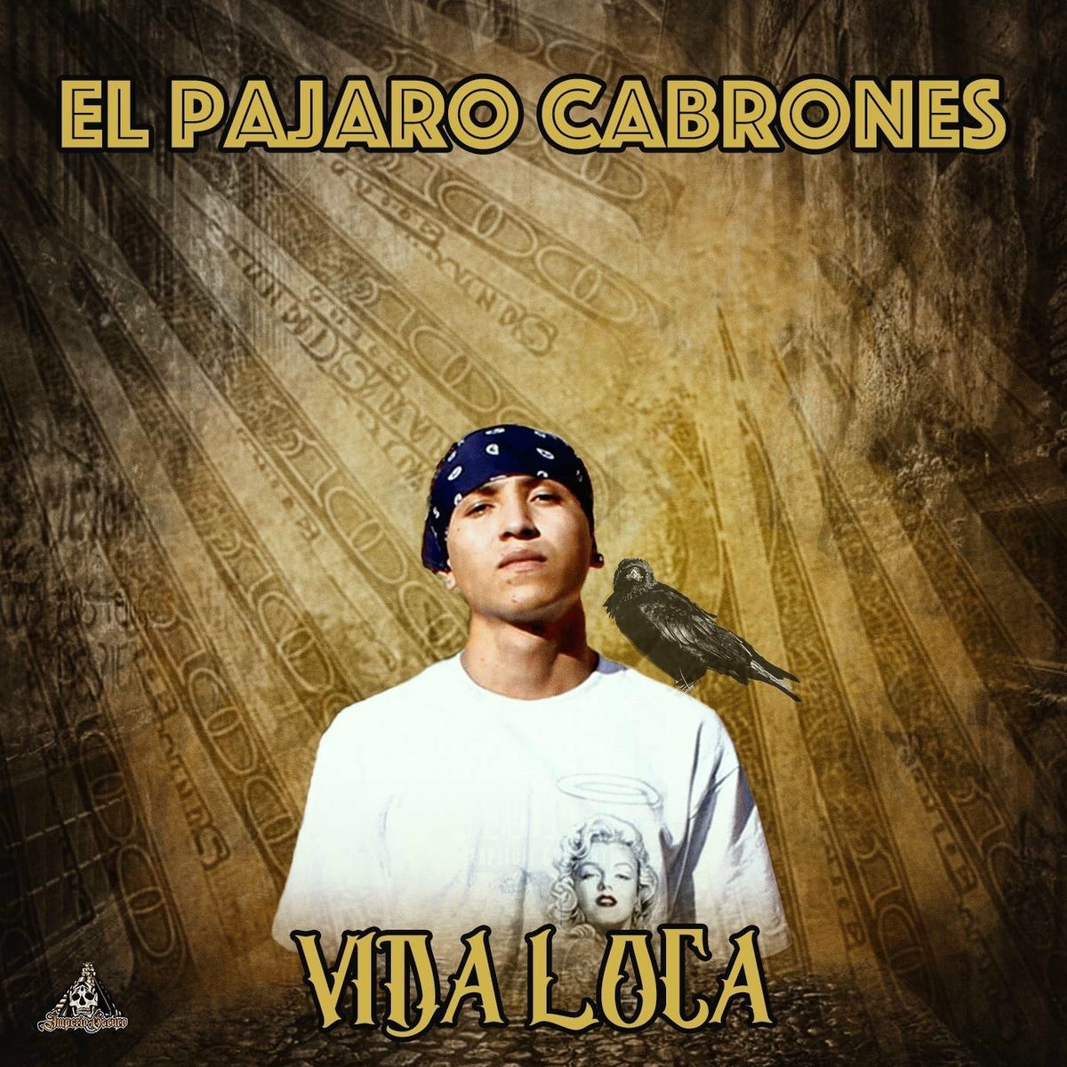 Album cover of Vida Loca