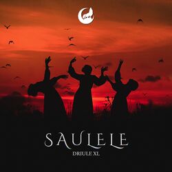 Cover of Saulele