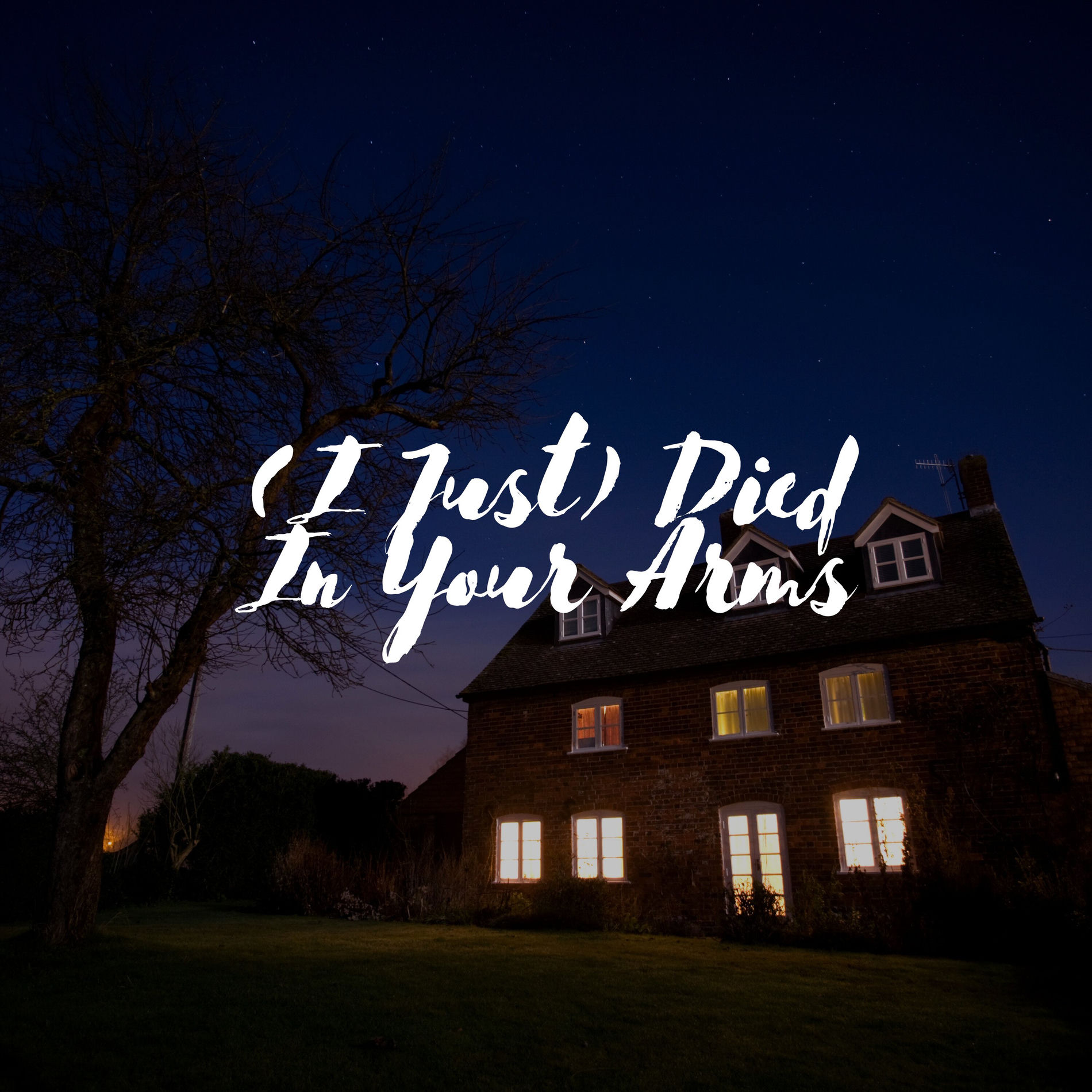 Album cover of (I Just) Died In Your Arms