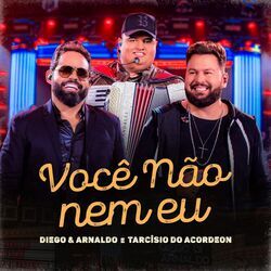 Cover of Você Não Nem Eu (Ao Vivo)