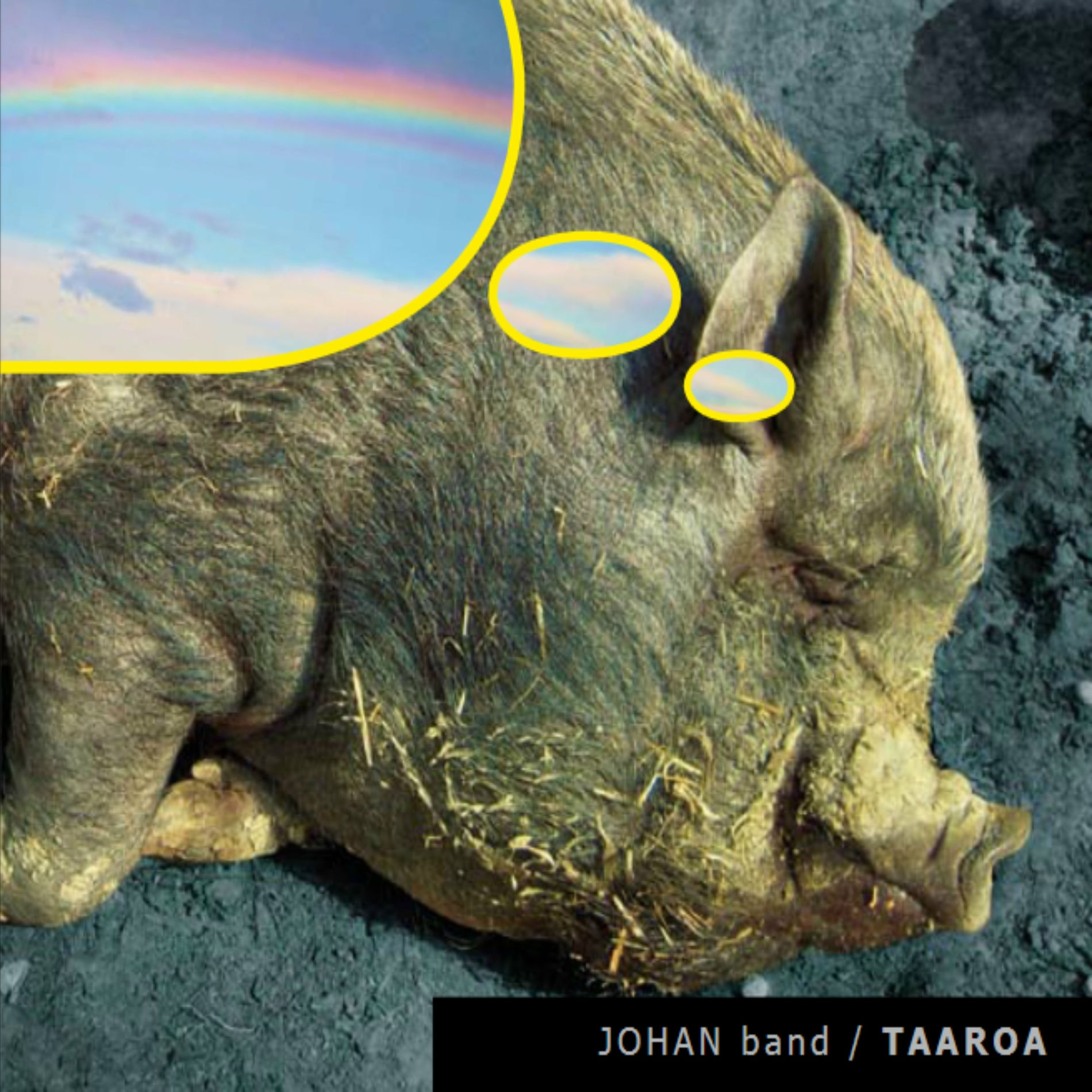 Album cover of Taaroa
