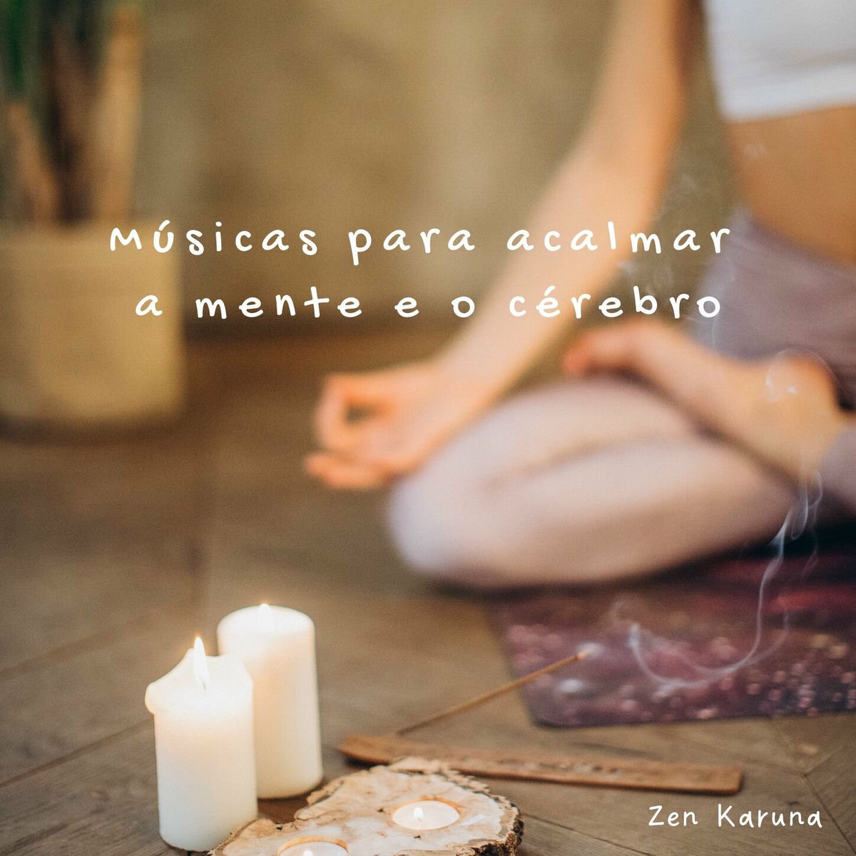 Album cover of Músicas para acalmar a mente e o cérebro