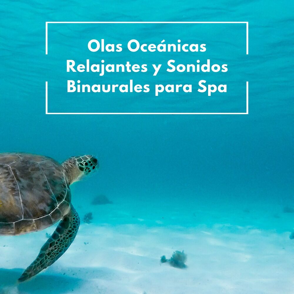 Picture of Olas Oceánicas Relajantes Y Sonidos Binaurales Para Spa