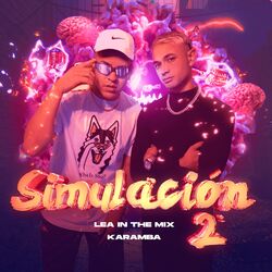 Cover of Simulación #2