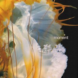 Cover of moment