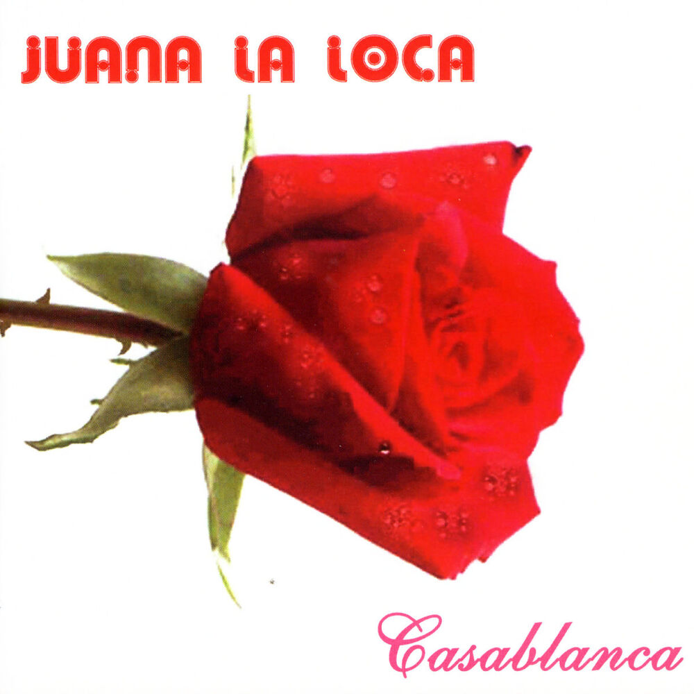 Picture of Casablanca