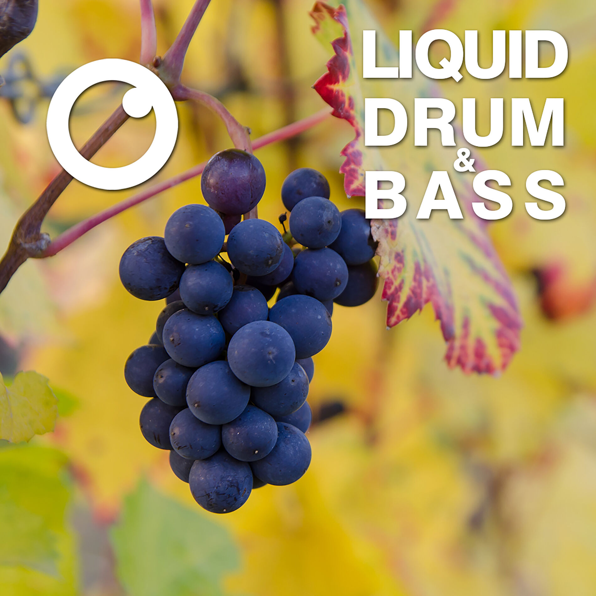 Album cover of Liquid Drum & Bass Sessions 2020 Vol 15