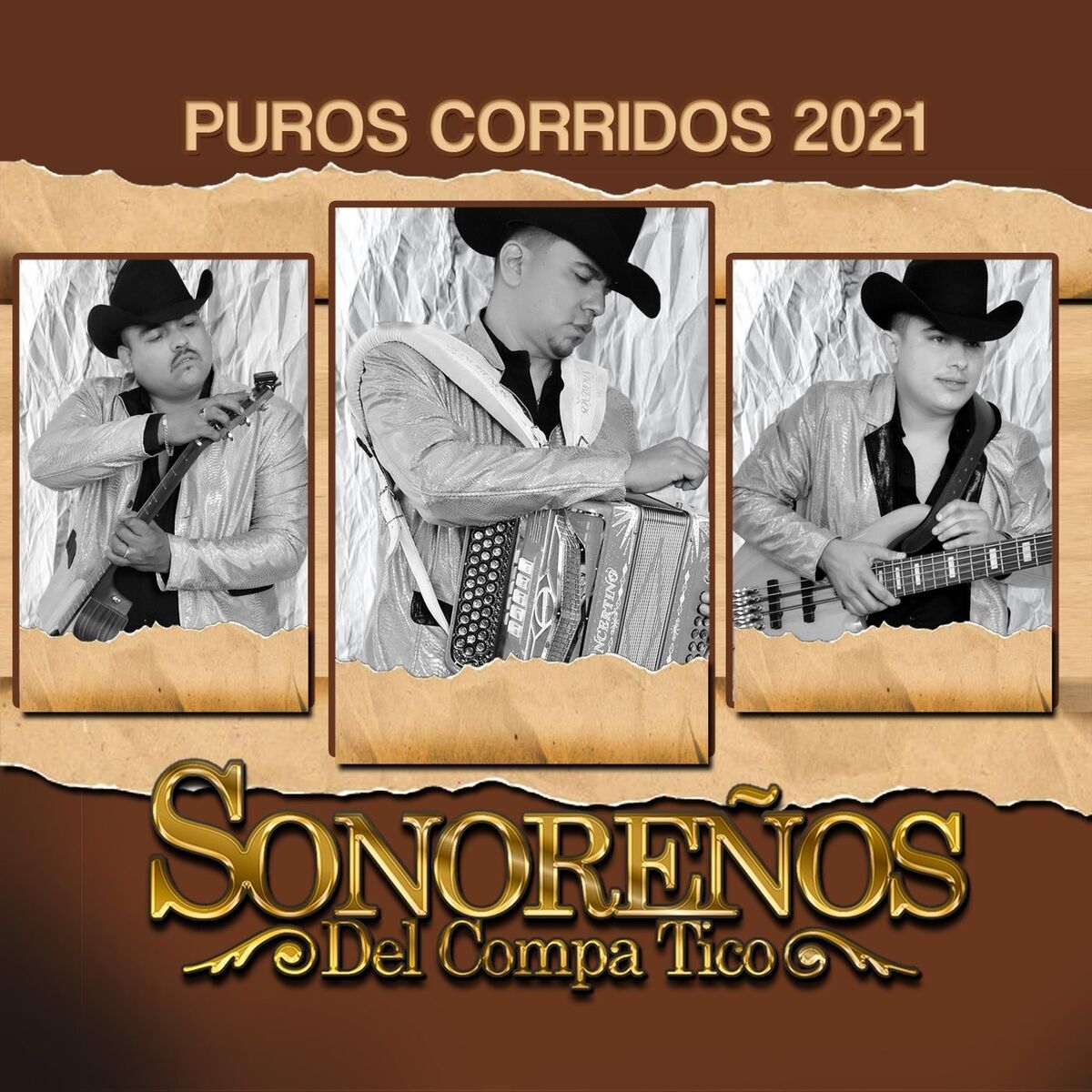 Album cover of Puros Corridos 2021 (En Vivo)