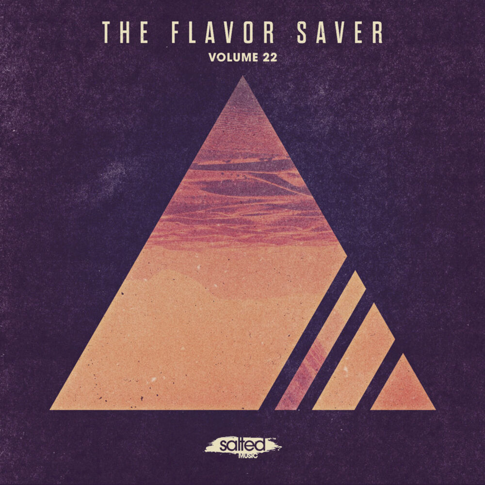 Picture of The Flavor Saver, Vol. 22