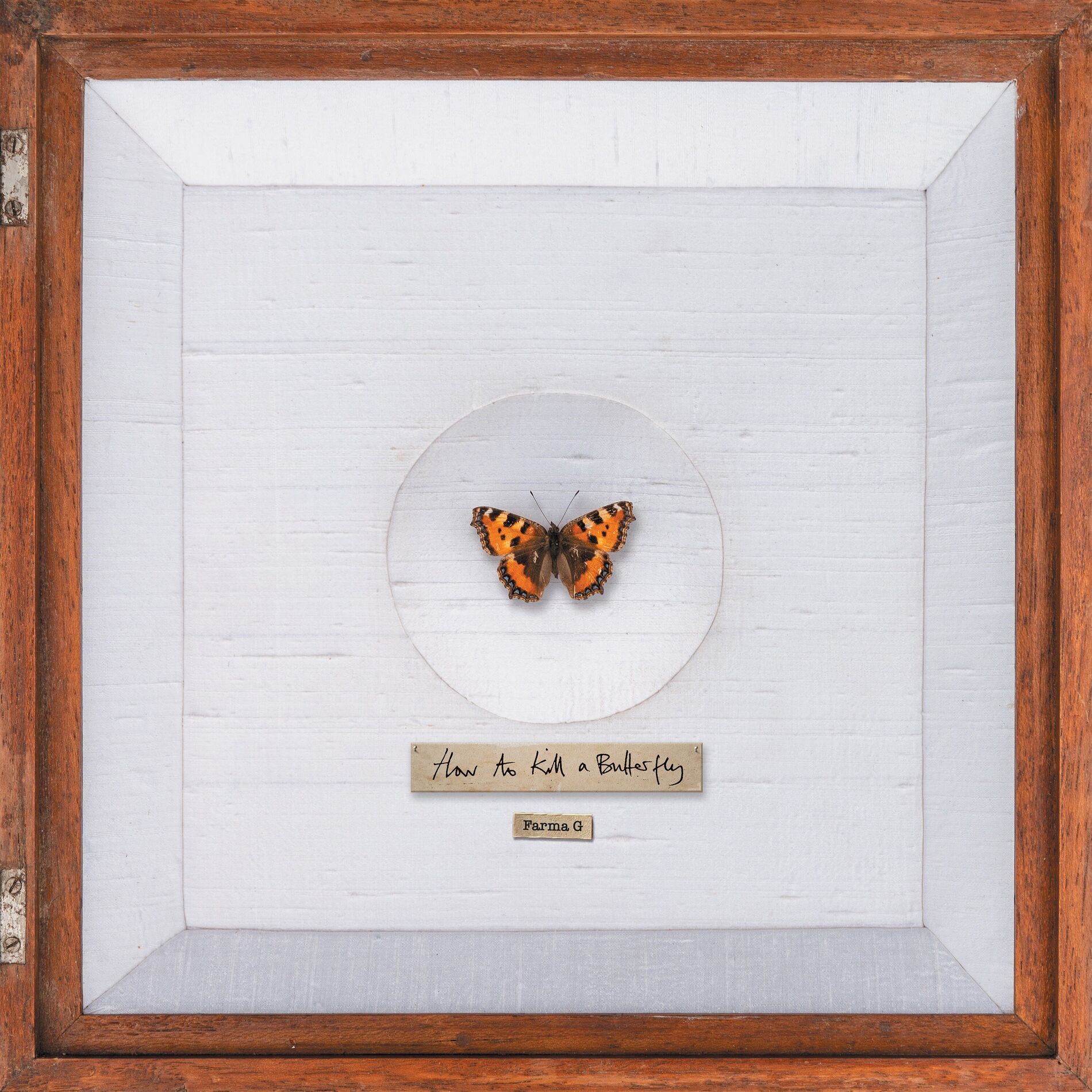 Album cover of How To Kill A Butterfly