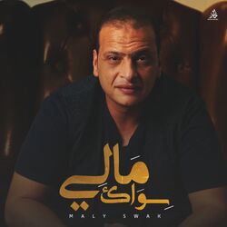 Cover of Maly Swak