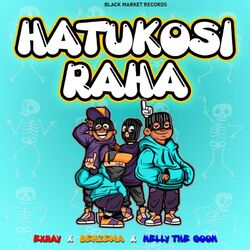Cover of Hatukosi Raha