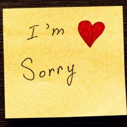 Cover of I'm sorry
