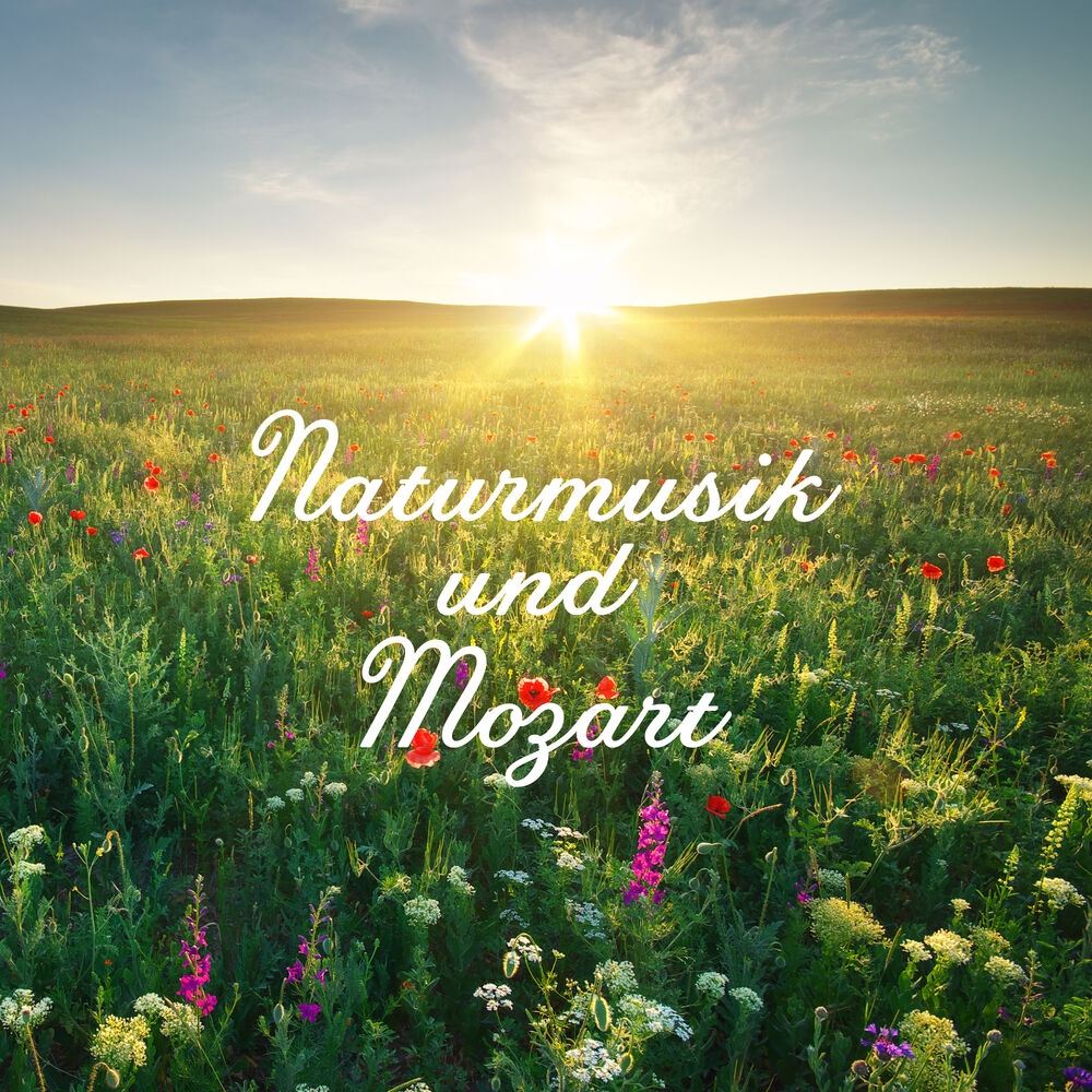 Picture of Naturmusik und Mozart: Vorspiel zur ganztägigen Entspannung