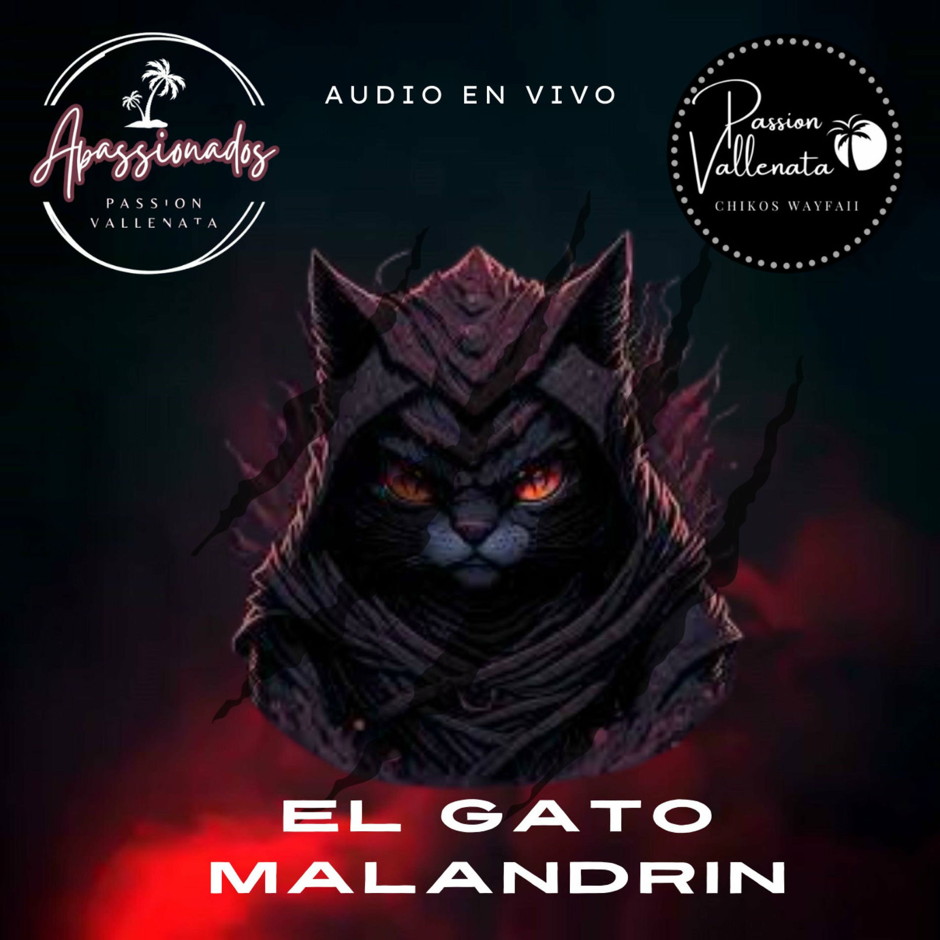 Album cover of EL GATO MALANDRIN (PASSION VALLENATA EN VIVO) (En vivo)