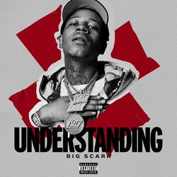 Cover of Understanding