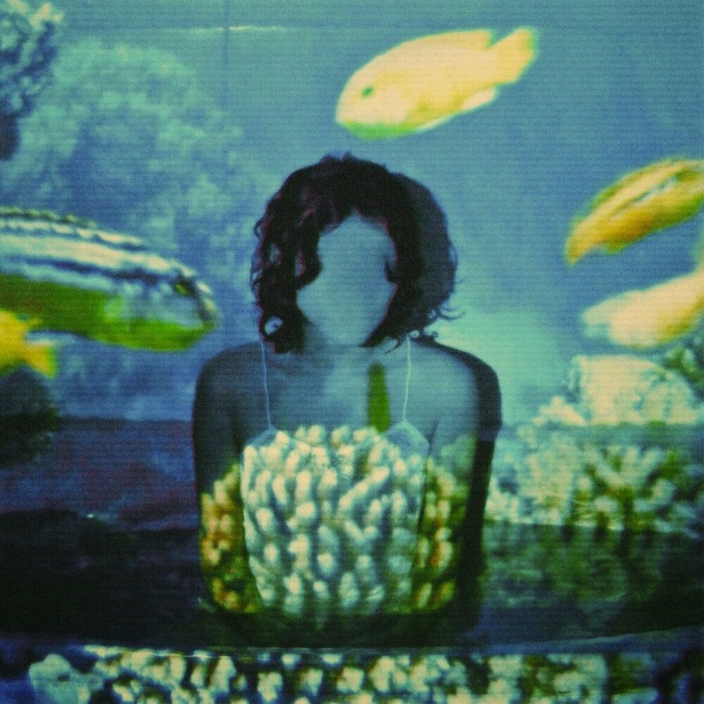 Picture of La Memoria De Los Peces