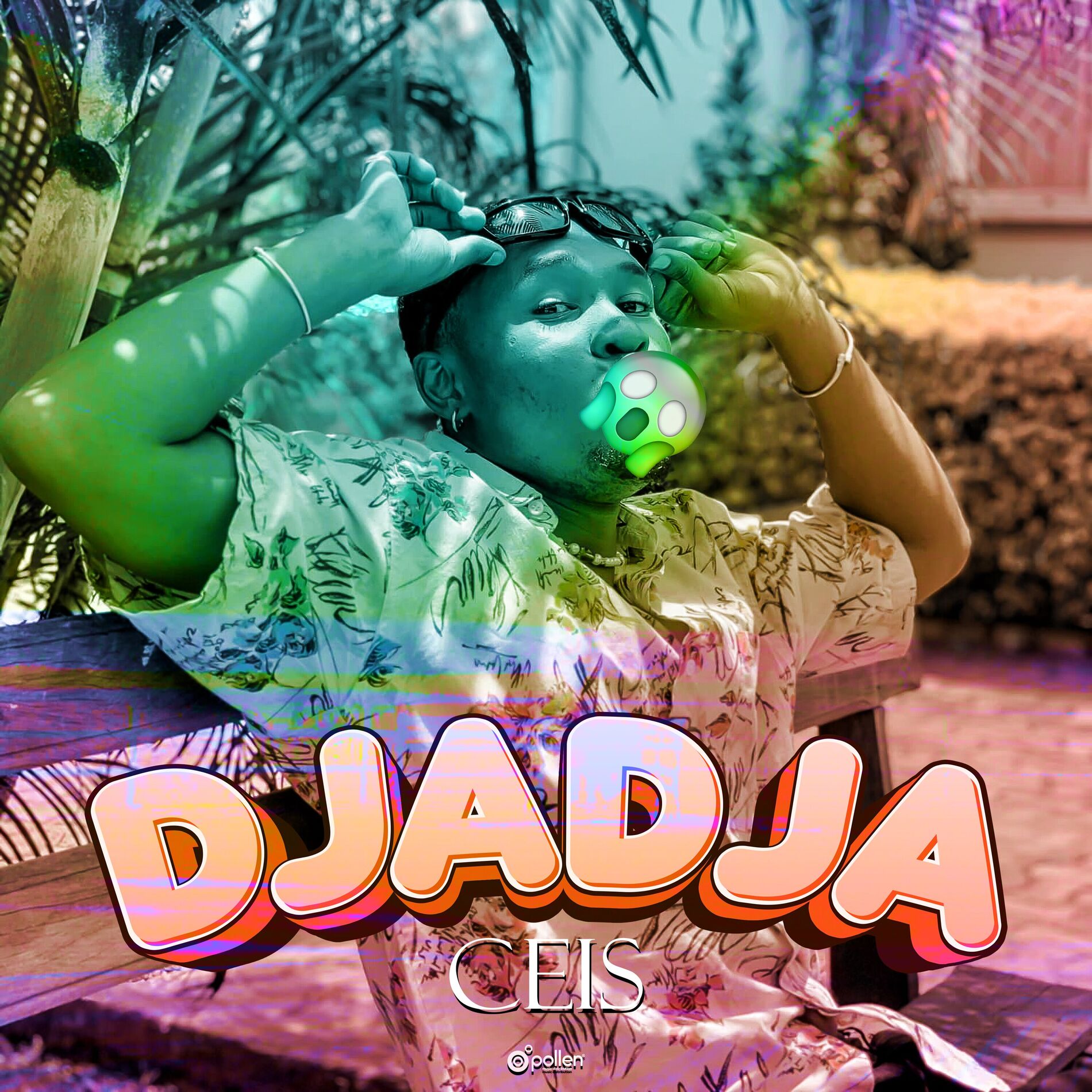 Album cover of Dja Dja