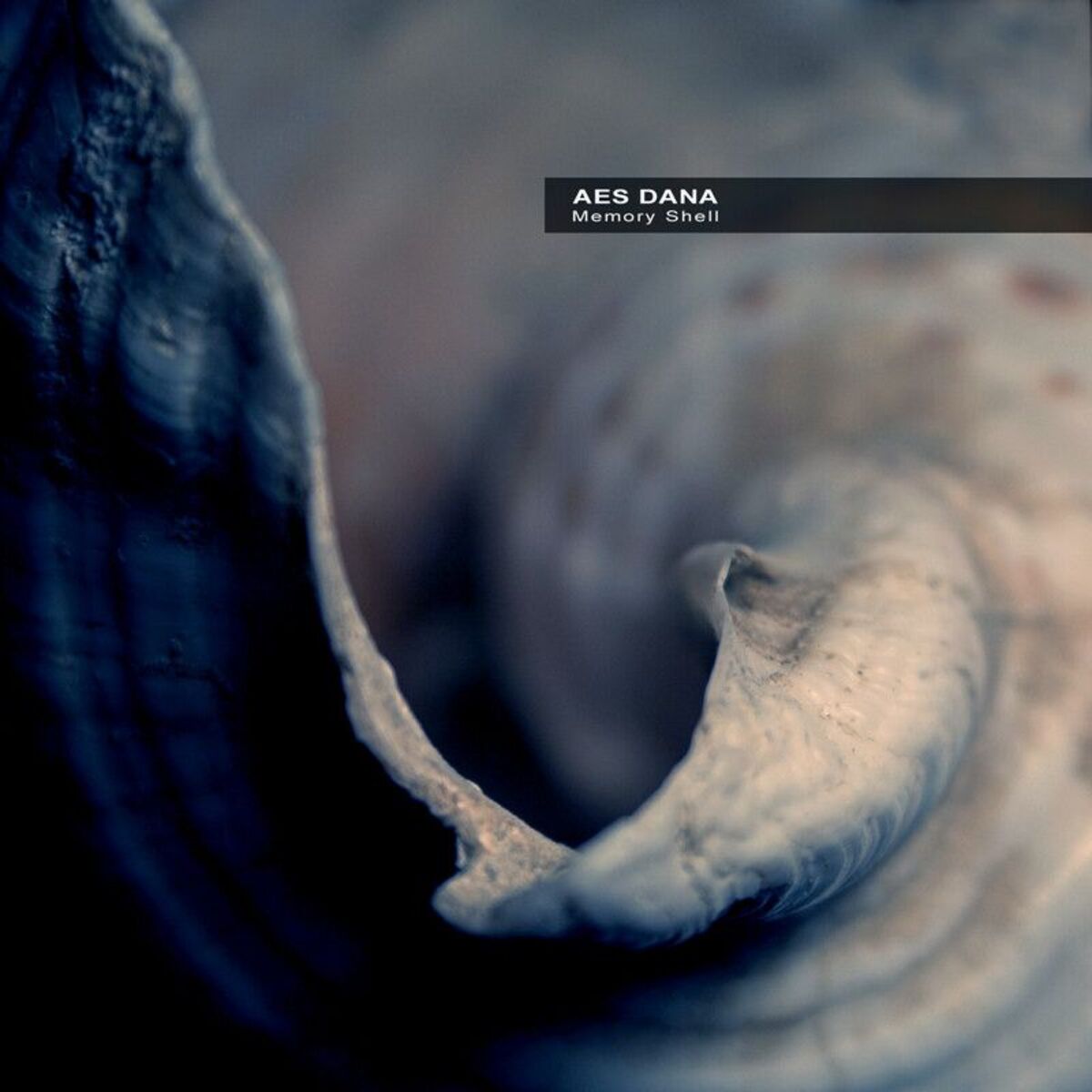 Album cover of Memory Shell