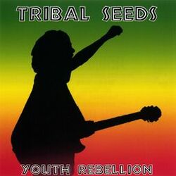 Cover of Youth Rebellion