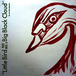 Cover of Little Bird Flies into a Big Black Cloud