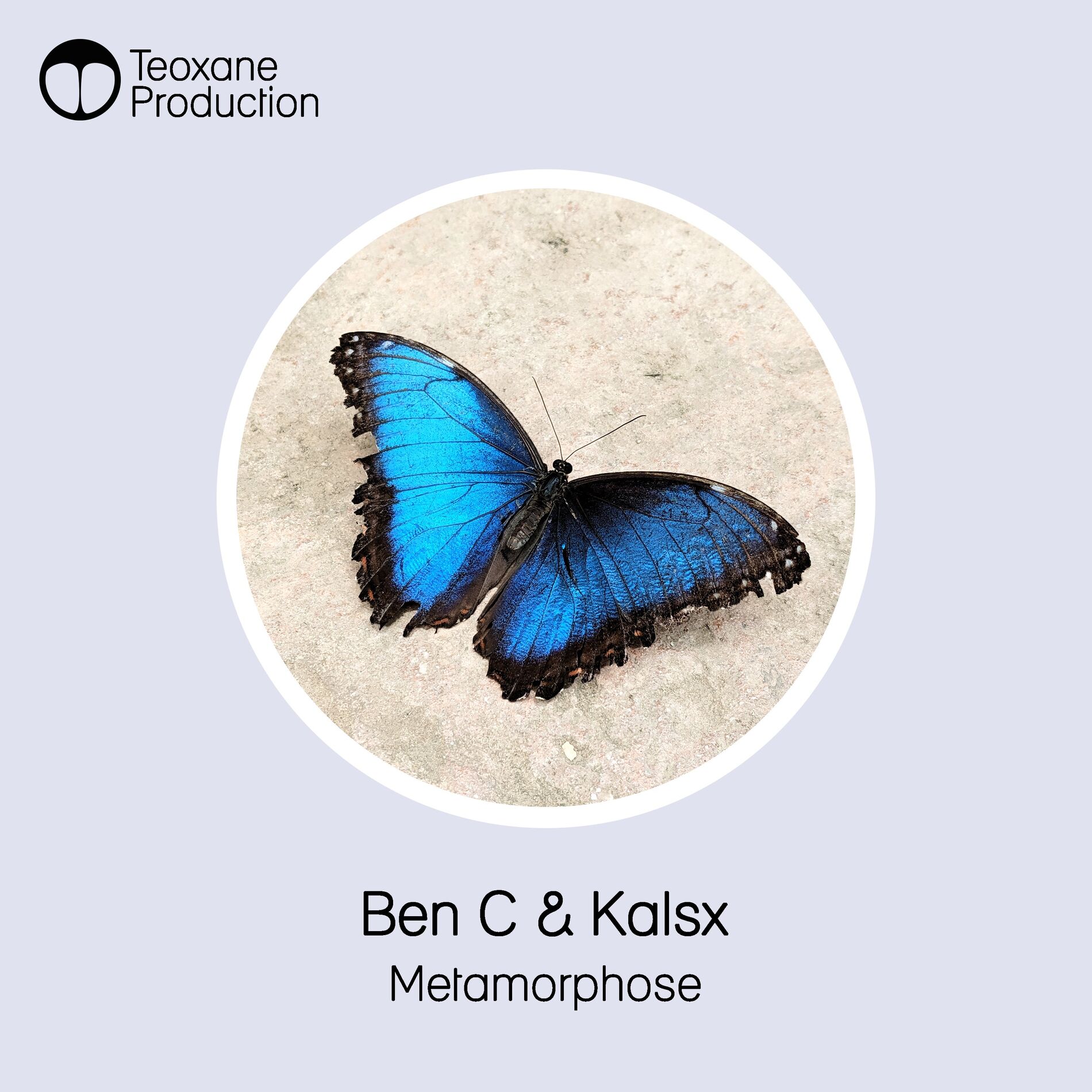 Album cover of Metamorphose