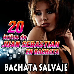 Cover of 20 Exitos de Joan Sebastian en Bachata