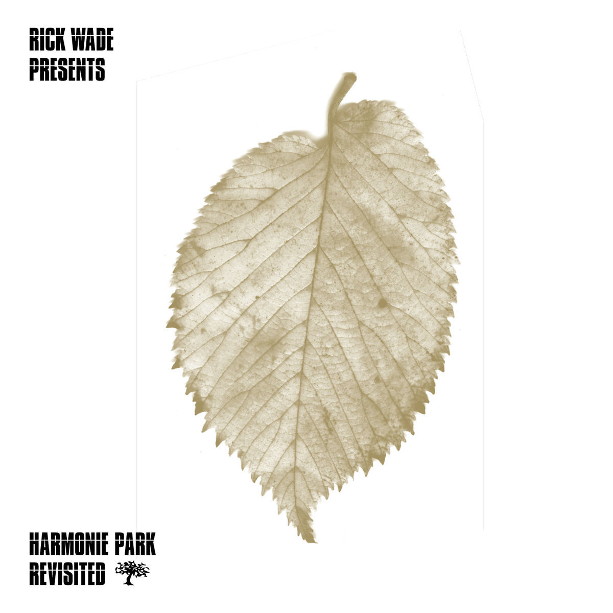 Album cover of Presents Harmonie Park