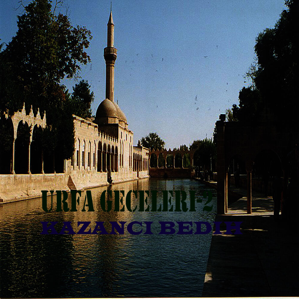 Picture of Urfa Geceleri-2