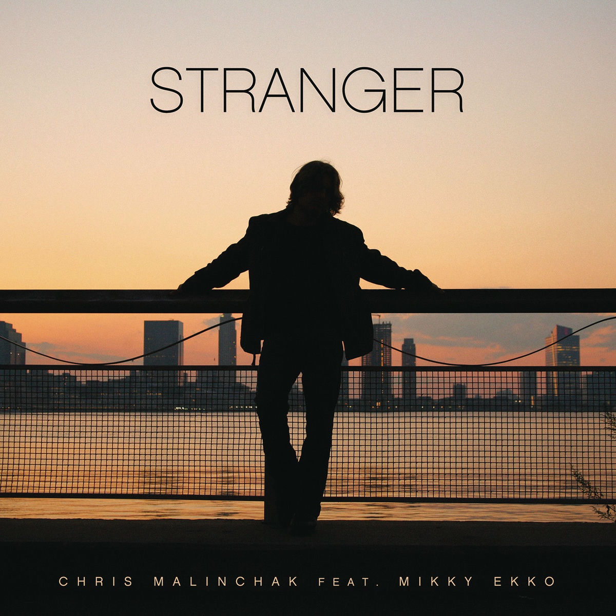 Album cover of Stranger (feat. Mikky Ekko)