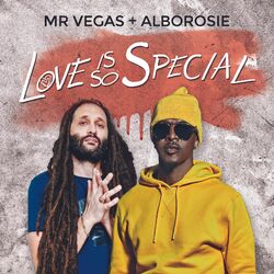Cover of Love Is so Special