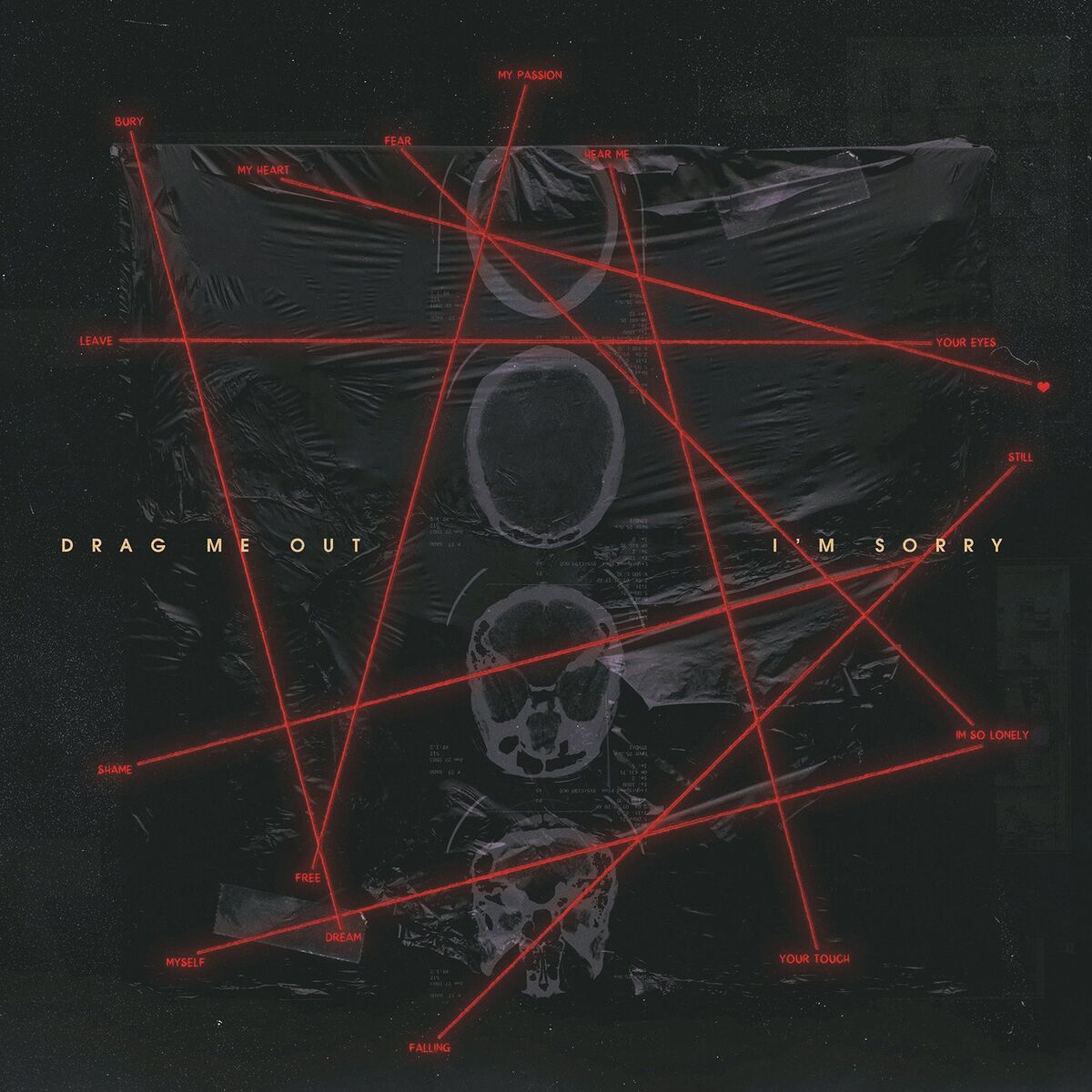 Album cover of I'm Sorry