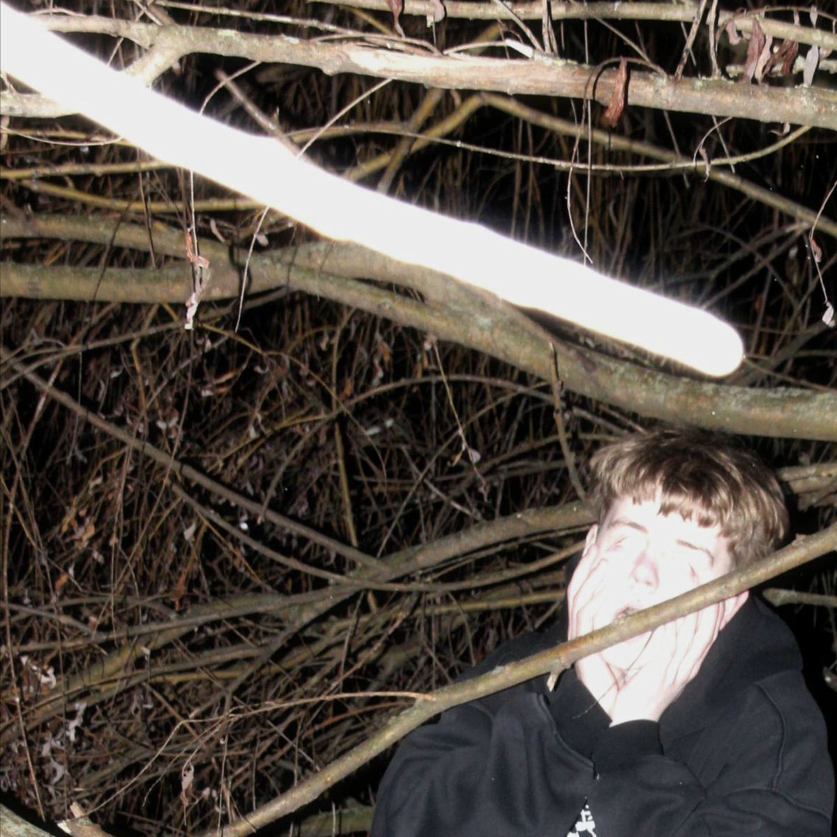 Album cover of DIE