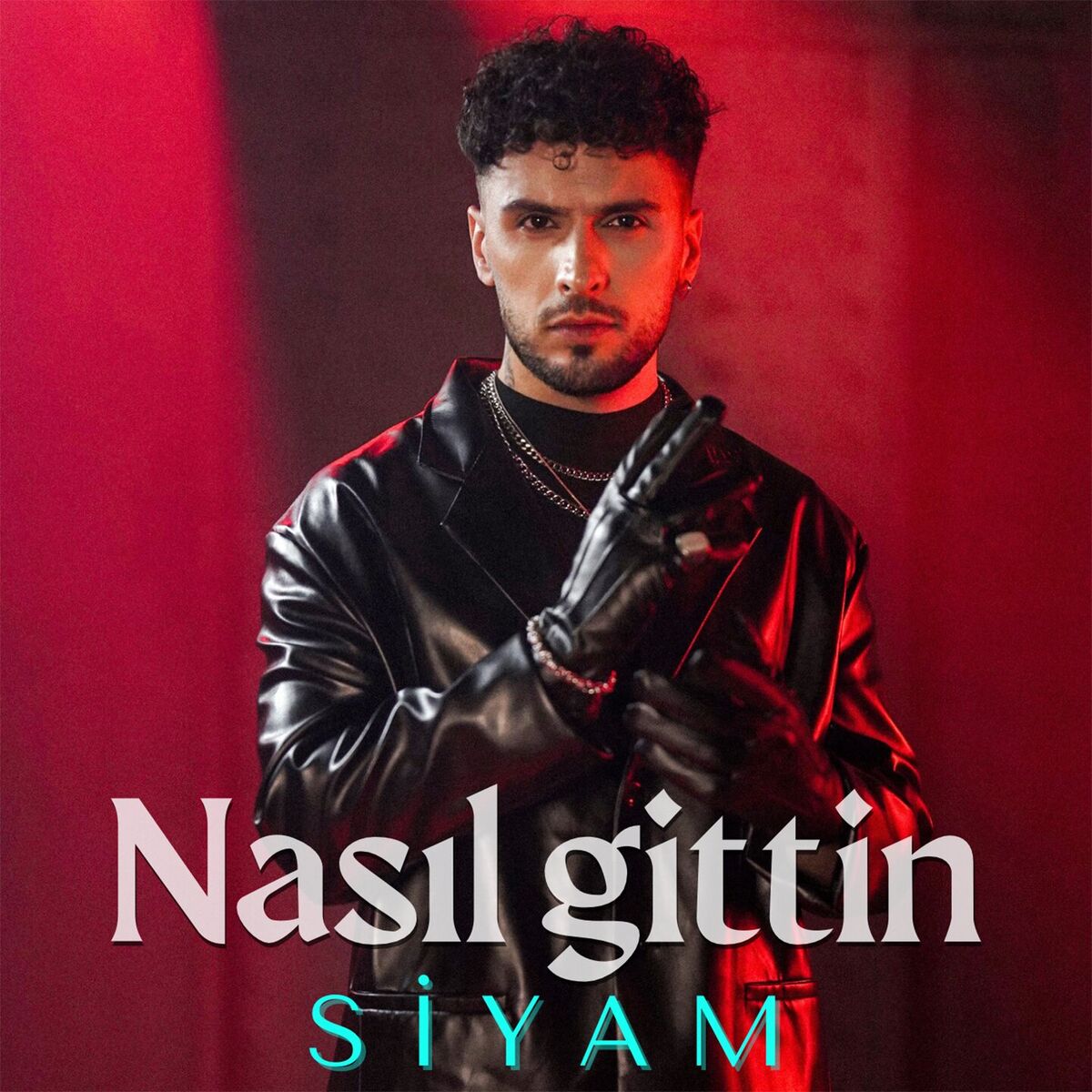 Album cover of Nasıl Gittin